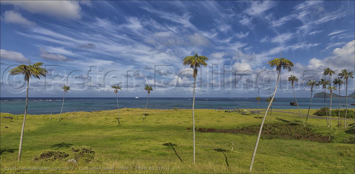 Peter Bellingham Photography Lord Howe Island - NSW T (PBH4 00 11777)